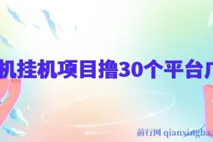 手机挂机项目：零撸30个APP平台广告金币，月入轻松数千