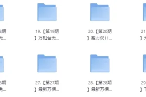 白凤电商淘系运营21天速成班课程