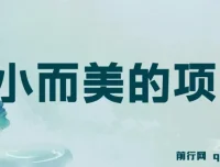 视频点赞赚钱项目：小成本，收益快，日入可观