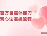 年入百万自媒体镰刀训练营：自媒体心法与实操全流程（31节课）