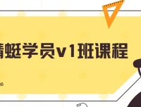 斜杠蜻蜓闲鱼运营v1班课程