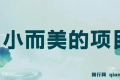视频点赞赚钱项目：小成本，收益快，日入可观