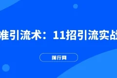 精准引流术：11 招实战引流方法课程（11 节课完整版）