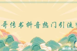 飞哥传书：抖音热门引流变现课程