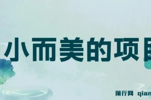 视频点赞赚钱项目：小成本，收益快，日入可观