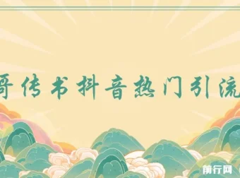 飞哥传书：抖音热门引流变现课程