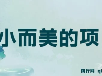 视频点赞赚钱项目：小成本，收益快，日入可观