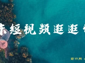 京东短视频逛逛带货：原创过审与长期收益玩法
