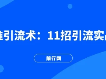 精准引流术：11 招实战引流方法课程（11 节课完整版）