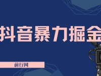 抖音掘金玩法：靠闪烁之光实现日入4000+ 保姆式教学
