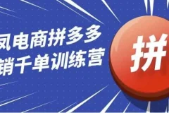 白凤电商拼多多日销千单运营训练营