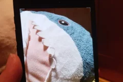 韩松：跟iPhone摄影大赛冠军学手机摄影，惊艳朋友圈