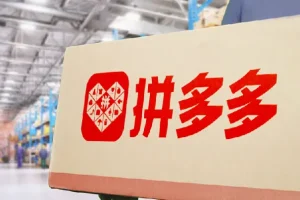 拼多多实操陪跑特训营弟子班（2025年2月）