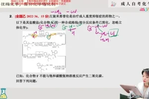 2024张梅高三化学二轮复习：电化学、元素周期律与实验专题精讲