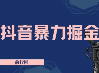 抖音掘金玩法：靠闪烁之光实现日入4000+ 保姆式教学