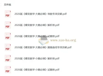 2026蝶变数学大题必刷：高中数学专项练习资料
