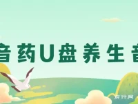 健康养生赛道：音药U盘养生音乐项目，月赚轻松过万可批量操作