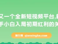 疑似巨头打造的全新短视频平台：新手小白抢占初期红利的机遇