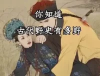 历朝历代野史秘史文献合集