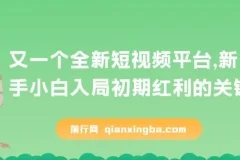 疑似巨头打造的全新短视频平台：新手小白抢占初期红利的机遇