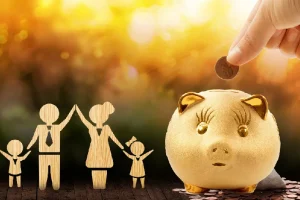 家庭财富增长计划：戴老板智囊团助力增收