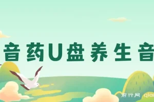 健康养生赛道：音药U盘养生音乐项目，月赚轻松过万可批量操作