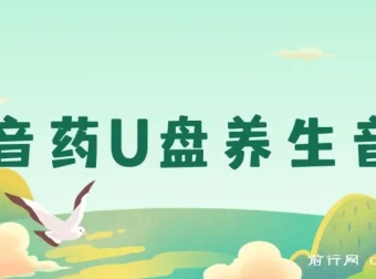 健康养生赛道：音药U盘养生音乐项目，月赚轻松过万可批量操作