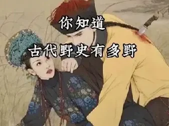 历朝历代野史秘史文献合集