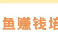 老A闲鱼赚钱培训课程