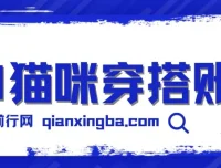 AI猫咪穿搭账号保姆级教程：起号与变现指南