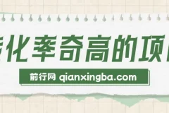 冷门暴利项目：一部手机实现日入1000+的高转化率生意