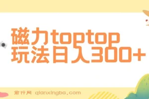 磁力toptop玩法课程：轻松上手实现收益