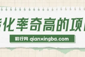 冷门暴利项目：一部手机实现日入1000+的高转化率生意