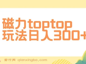 磁力toptop玩法课程：轻松上手实现收益