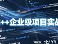 C++企业级项目实战课程