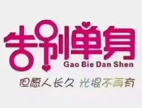 恋爱情报局：脱单12技课程