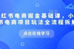 小红书电商掘金课：项目玩法全流程拆解
