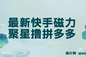 快手磁力聚星撸拼多多玩法教程