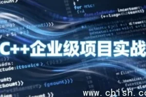 C++企业级项目实战课程