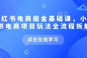 小红书电商掘金课：项目玩法全流程拆解