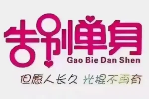 恋爱情报局：脱单12技课程