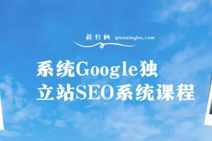 Google独立站SEO系统课程