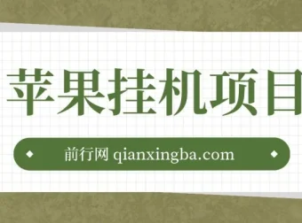 苹果挂机项目玩法：懒人操作指南