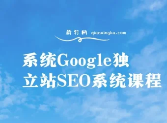 Google独立站SEO系统课程