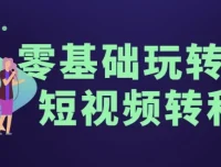零基础玩转男粉短视频转私域课程