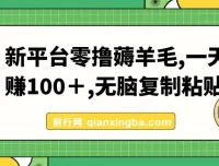 新平台薅羊毛教程分享
