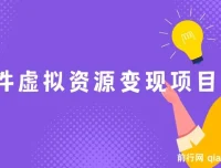 全网引流软件虚拟资源变现项目课程