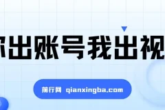 抖推猫项目：账号+视频合作，轻松获收益