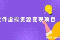 全网引流软件虚拟资源变现项目课程