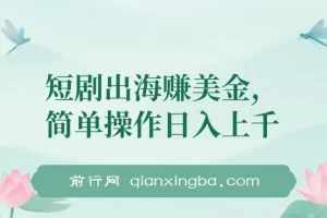短剧出海项目：简单操作实现盈利